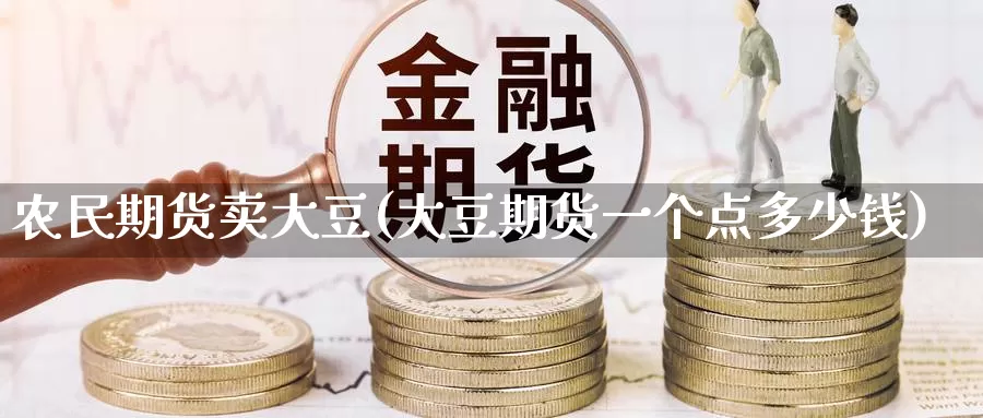 农民期货卖大豆(大豆期货一个点多少钱)_https://qh.wpmee.com_期货科普_第1张