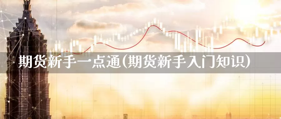 期货新手一点通(期货新手入门知识)_https://qh.wpmee.com_恒指期货_第1张