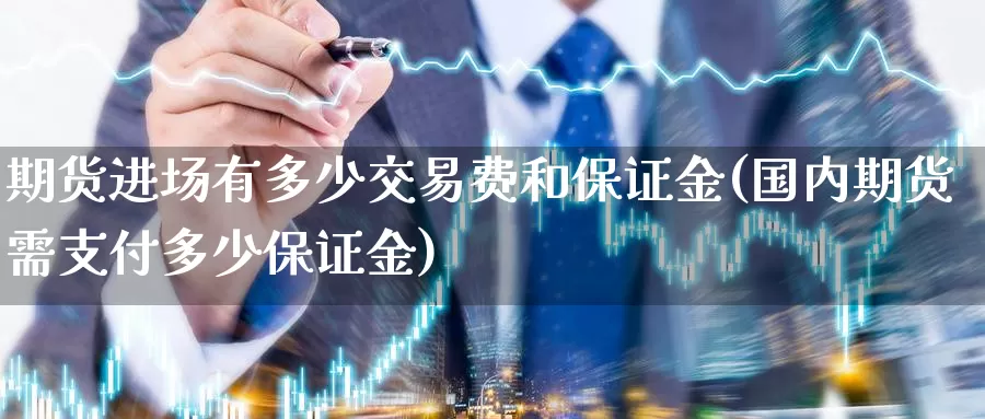 期货进场有多少交易费和保证金(国内期货需支付多少保证金)_https://qh.wpmee.com_国际期货_第1张