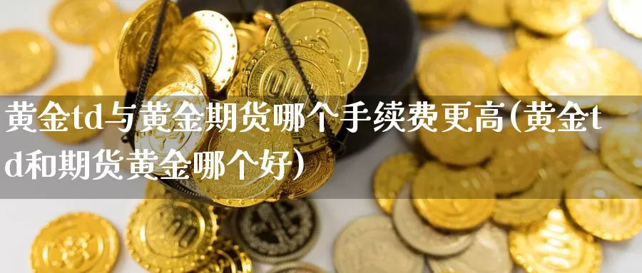 黄金td与黄金期货哪个手续费更高(黄金td和期货黄金哪个好)_https://qh.wpmee.com_黄金期货_第1张