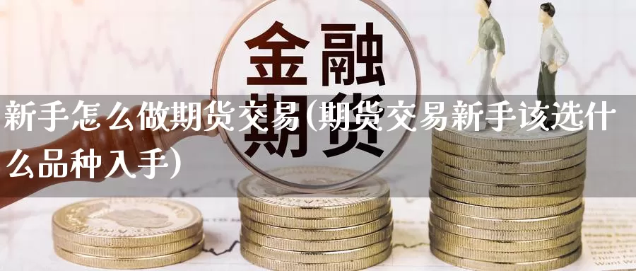 新手怎么做期货交易(期货交易新手该选什么品种入手)_https://qh.wpmee.com_黄金期货_第1张