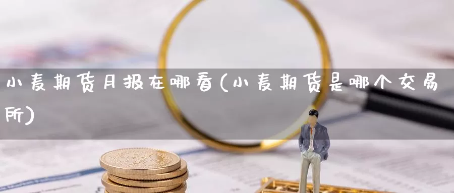 小麦期货月报在哪看(小麦期货是哪个交易所)_https://qh.wpmee.com_恒指期货_第1张