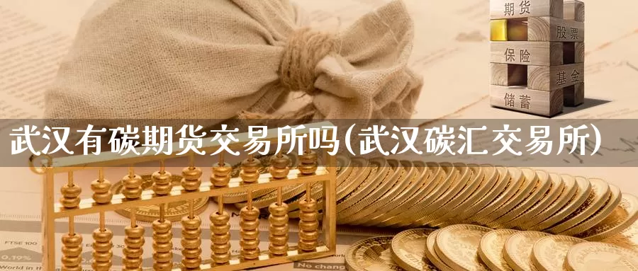 武汉有碳期货交易所吗(武汉碳汇交易所)_https://qh.wpmee.com_恒指期货_第1张