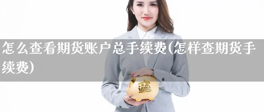 怎么查看期货账户总手续费(怎样查期货手续费)_https://qh.wpmee.com_纳指期货直播室_第1张