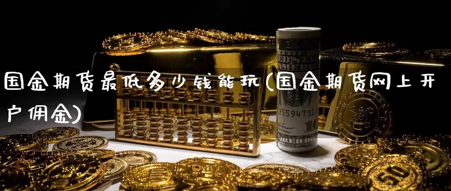 国金期货最低多少钱能玩(国金期货网上开户佣金)_https://qh.wpmee.com_国际期货_第1张