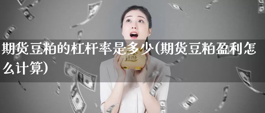 期货豆粕的杠杆率是多少(期货豆粕盈利怎么计算)_https://qh.wpmee.com_黄金直播室_第1张