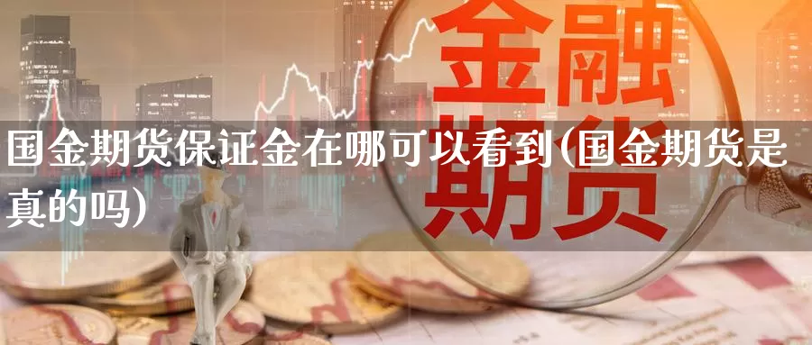 国金期货保证金在哪可以看到(国金期货是真的吗)_https://qh.wpmee.com_黄金期货_第1张